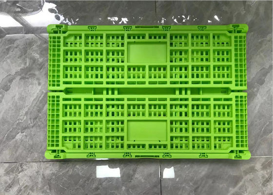 내보낸 4400PCS 로딩 플라스틱은 야채 과일을 위해 600*400mm을 나무 상자에 채워 넣습니다