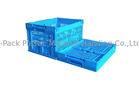작은 사이즈 400*300mm 푸른 과일과 야채 플라스틱 나무상자